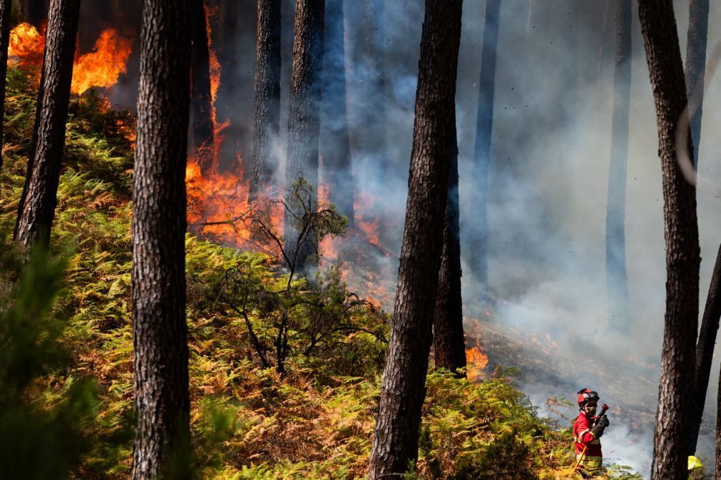 Mil bombeiros combatem fogos em Odemira, Ourém e Mangualde