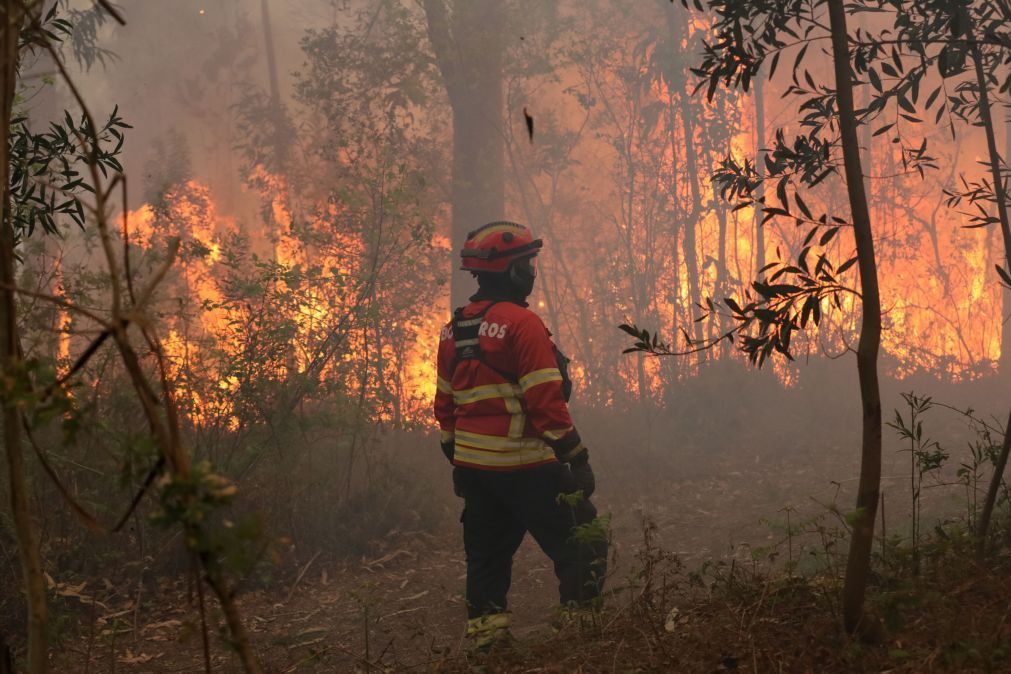 Mais de 120 concelhos do interior Norte e Centro e do Algarve em perigo máximo de incêndio