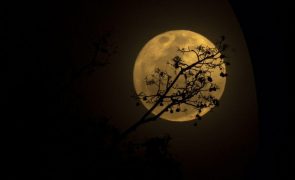 Rússia vai retomar programa lunar com lançamento da estação Luna-25