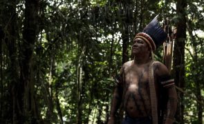 Brasil tem 1,7 milhões de indígenas e mais de metade vive na Amazónia