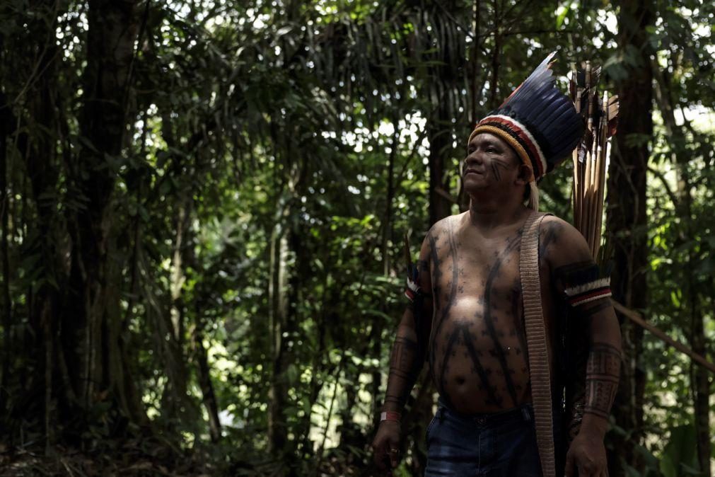 Brasil tem 1,7 milhões de indígenas e mais de metade vive na Amazónia