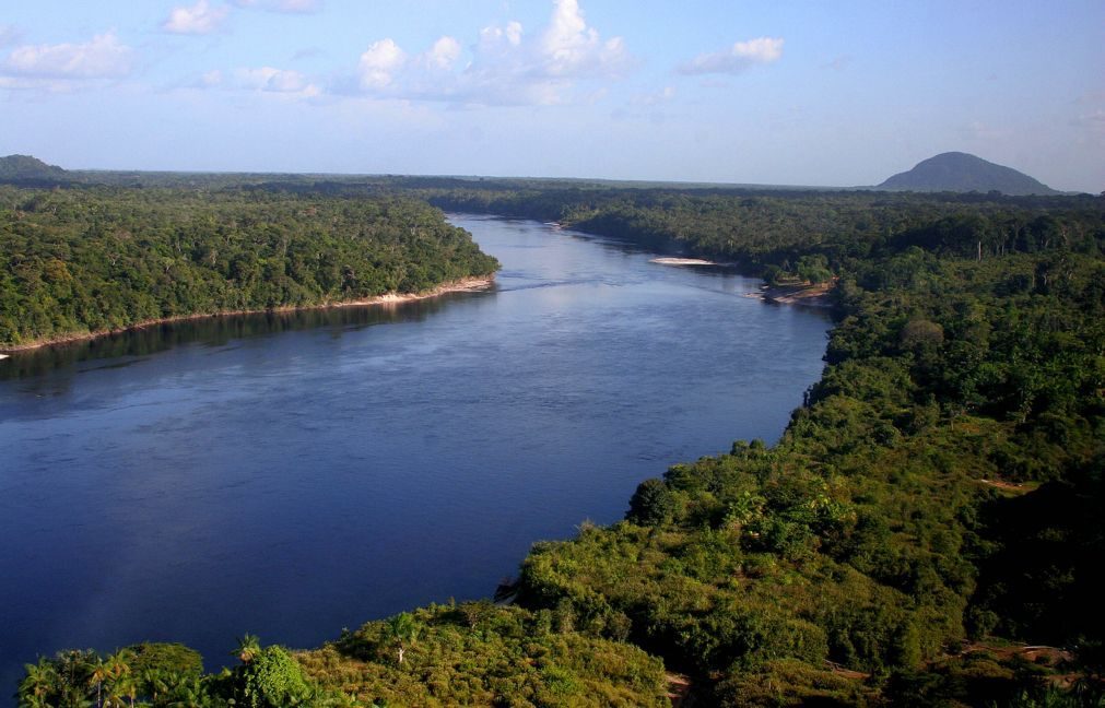 Países amazónicos aprovam declaração conjunta para proteger 'pulmão do mundo'