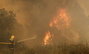Incêndio em Odemira mantém pontos preocupantes na frente sul