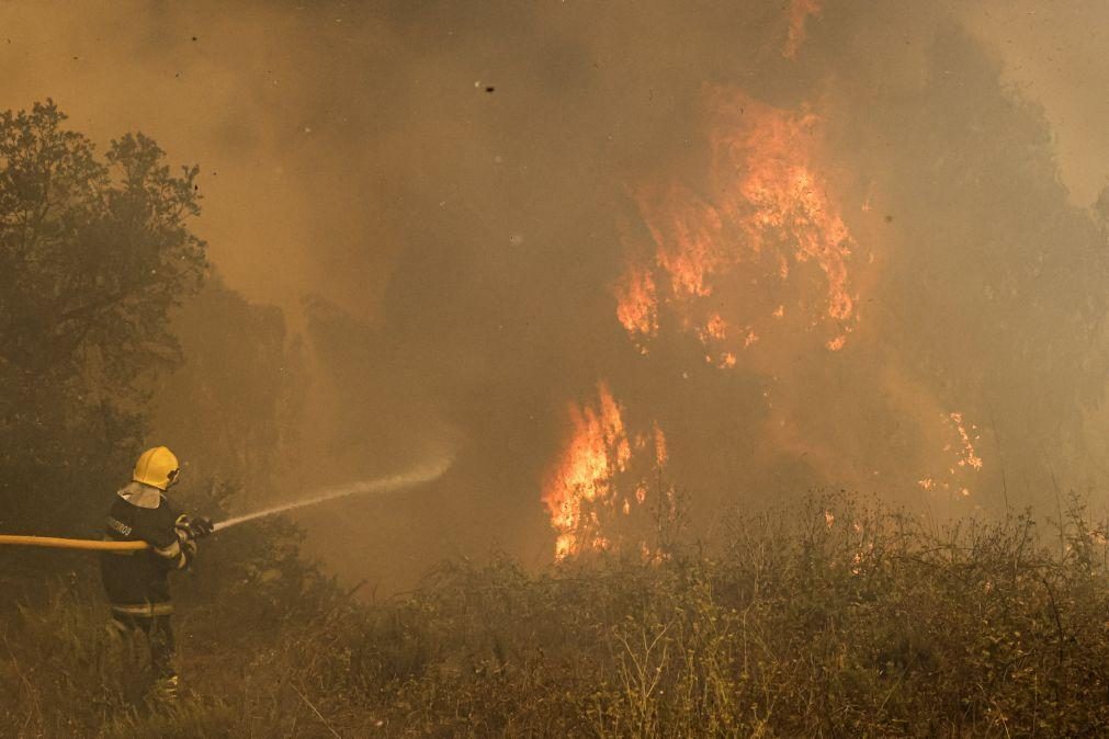 Interior Norte e Centro e região do Algarve em perigo máximo de incêndio