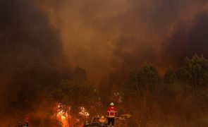 Dominado fogo em Vimioso