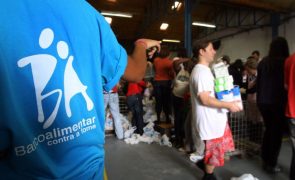 Banco Alimentar estima que cerca de 15% dos alimentos recolhidos na JMJ sigam para compostagem