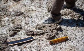 Novos fósseis de dinossauros descobertos perto do cabo Espichel