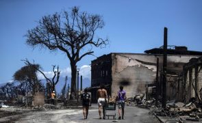Lusodescendentes desaparecidos em incêndios no Havai