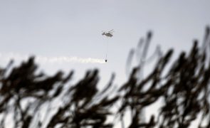 Mais de 80 concelhos de oito distritos em perigo máximo de incêndio