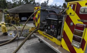 Número de mortos nos fogos do Havai sobe para 99 e pode duplicar - governador
