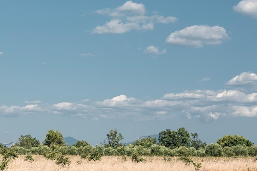 Meteorologia: Previsão do tempo para domingo, 27 de agosto