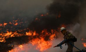 Cinco bombeiros de Vimioso feridos após despiste de viatura em Bragança