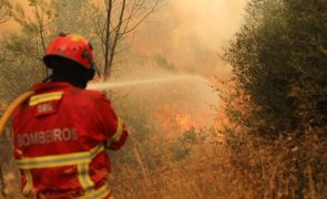 Incêndio em Monchique mobilizou cerca de 200 homens mas está em resolução