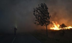 Incêndio em Carrazeda de Ansiães já foi dominado