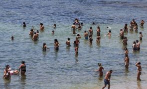 Calor no fim de semana coloca Madeira e continente sob aviso amarelo