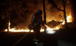 Militares combatem incêndio florestal fora de controlo em Tenerife