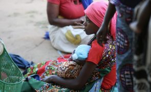 Insegurança alimentar aguda afeta 3,15 milhões de moçambicanos
