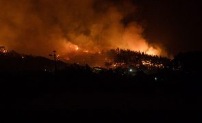 Fogo descontrolado na Grécia perto da fronteira turca obriga a evacuar aldeias