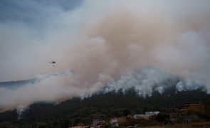 Incêndio em Tenerife atinge já 12 municípios da ilha espanhola