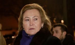 Cucha Carvalheiro Desespera depois de ter sido roubada