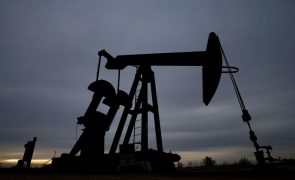 Petrolíferas investiram mais de 1.800 ME em prospeção em Moçambique desde 2006