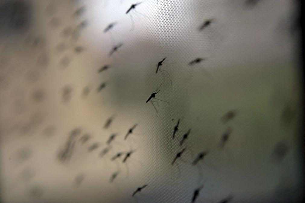 Mortes por malária em Moçambique caem um quarto até junho para 210