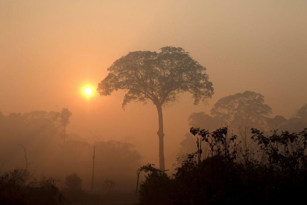 Brasil deve seguir o Equador e proibir extração de petróleo na Amazónia - ONG