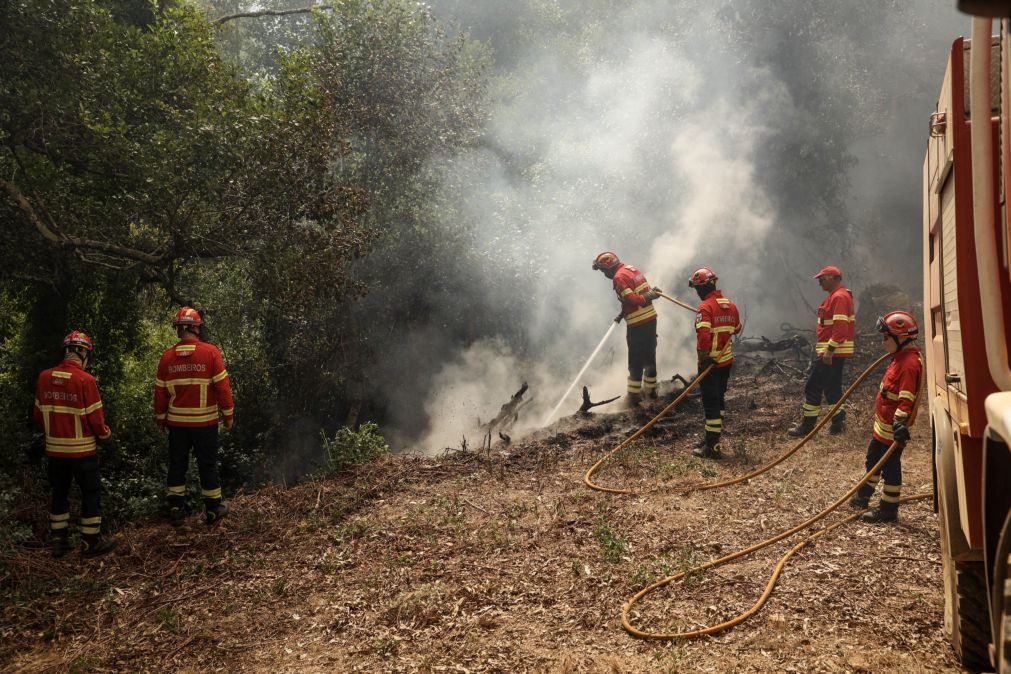 Mais de 100 concelhos de 15 distritos em perigo máximo de incêndio