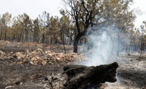 Fogo em Carrazeda de Ansiães em fase de conclusão