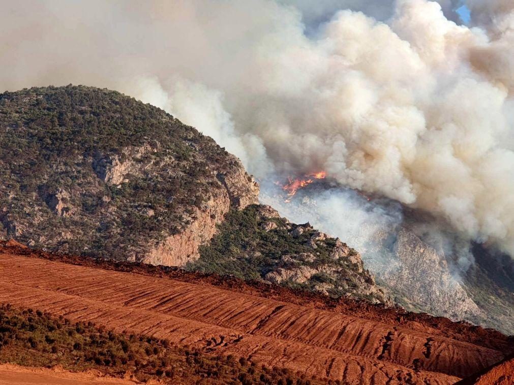 Pelo menos 26 corpos encontrados numa área devastado pelo fogo na Grécia