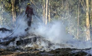 Fogo em Marvão em fase de resolução