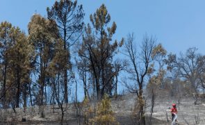 Fogo em Pombal entrou em resolução às 17:20