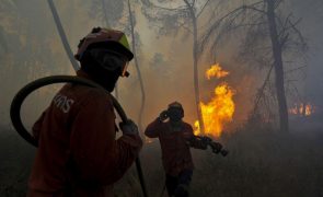Fogo em Nelas leva a deslocar 16 pessoas das suas residências
