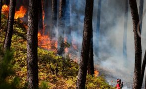 Fogo em Ourém com 378 operacionais e ainda sem controlo