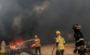 Câmara de Ourém diz que 60% dos incêndios são de origem criminosa