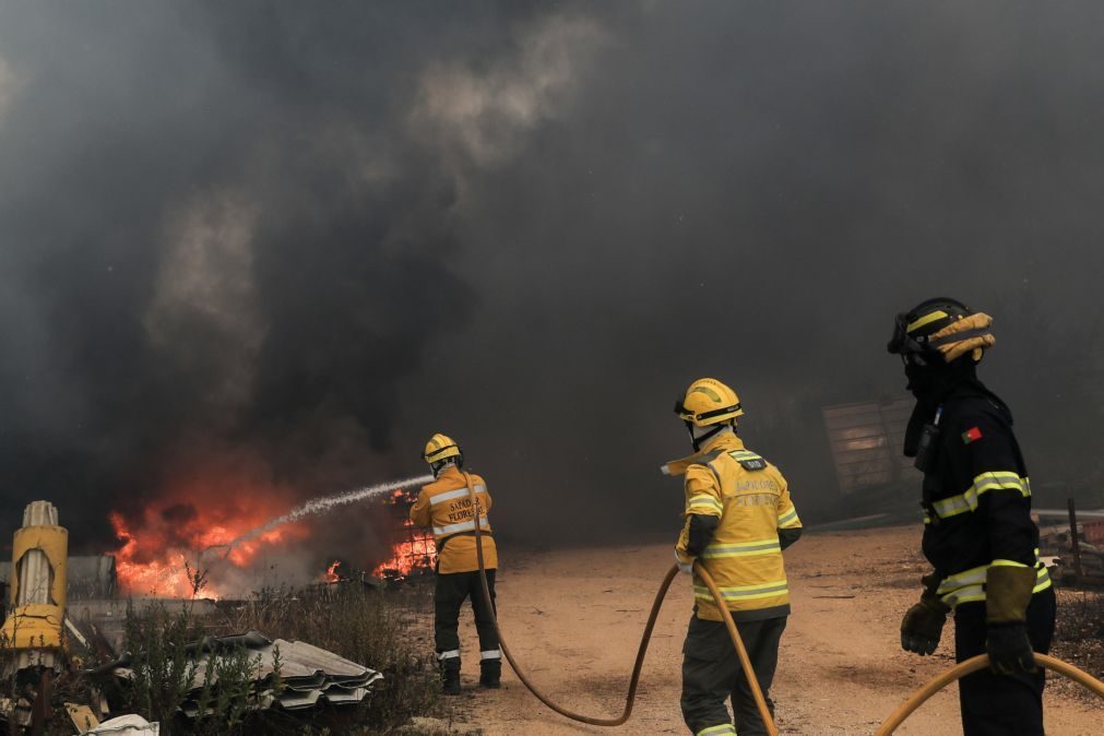 Câmara de Ourém diz que 60% dos incêndios são de origem criminosa