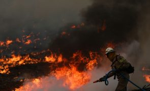 Incêndio em Mogadouro mobiliza 140 bombeiros e três meios aéreos
