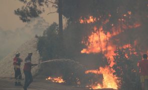 Fogo na Caranguejeira mobiliza mais de 240 operacionais