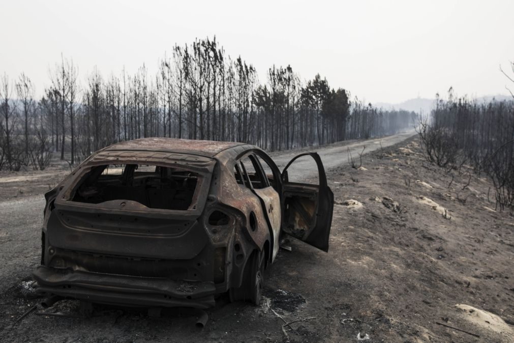 PSD e CDS-PP congratulam-se com «acolhimento» de novo relatório sobre incêndios de outubro