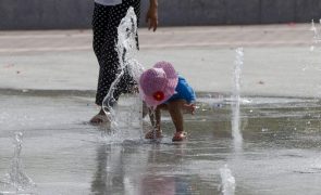Faro e sul da Madeira sob aviso devido ao calor antes das temperaturas descerem
