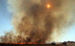 Mais de 100 concelhos de 13 distritos em perigo máximo de incêndio