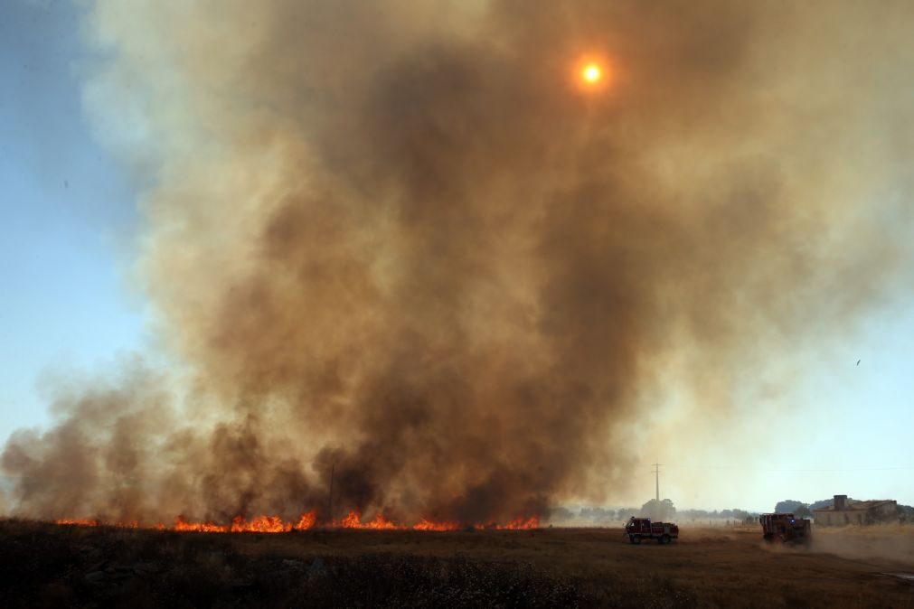 Mais de 100 concelhos de 13 distritos em perigo máximo de incêndio