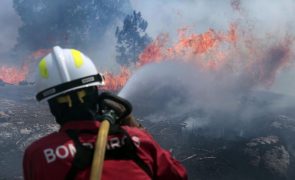 Dominado o incêndio que cortou a estrada entre Trancoso e Mêda