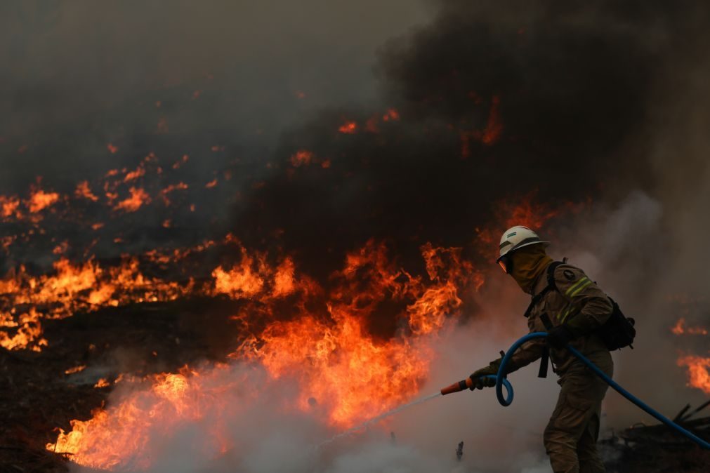 Cerca de 100 concelhos do Interior Norte e Centro e Algarve em perigo máximo de incêndio