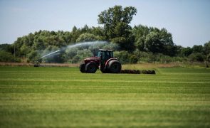PRR: Agricultores e construtores preocupados com execução, Governo mantém confiança