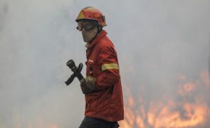 Fogo na Sertã em fase de resolução