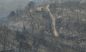 Cerca de 90 concelhos do Interior Norte e Centro e Algarve em perigo máximo de incêndio