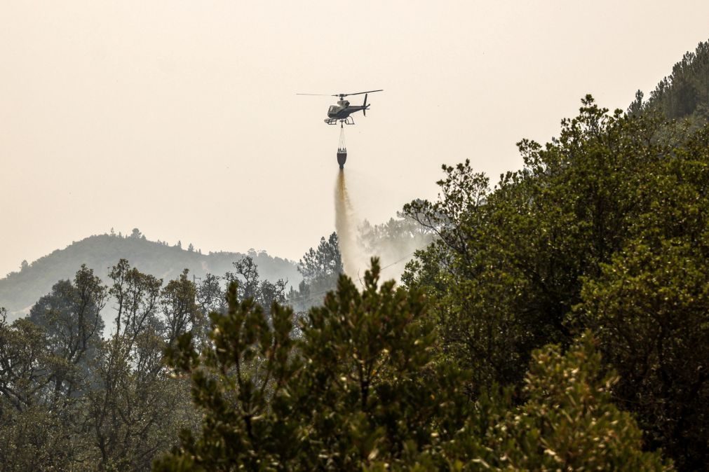 Incêndio em floresta combatido por sete meios aéreos em Vila Nova de Paiva