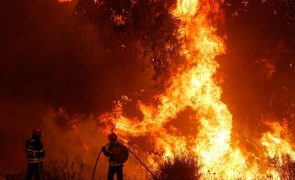 Detido suspeito da autoria de três fogos na freguesia de Fátima