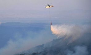 Grécia reforça equipas de bombeiros para combater incêndio no nordeste do país
